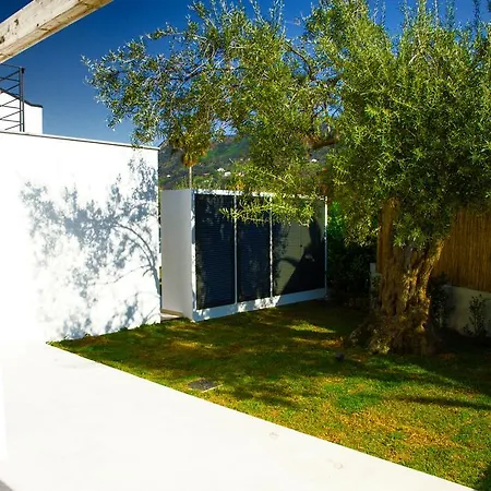Baia Degli Ulivi Apartment